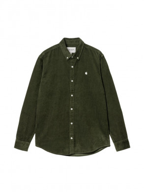 LS Madison cord shirt tarragon 