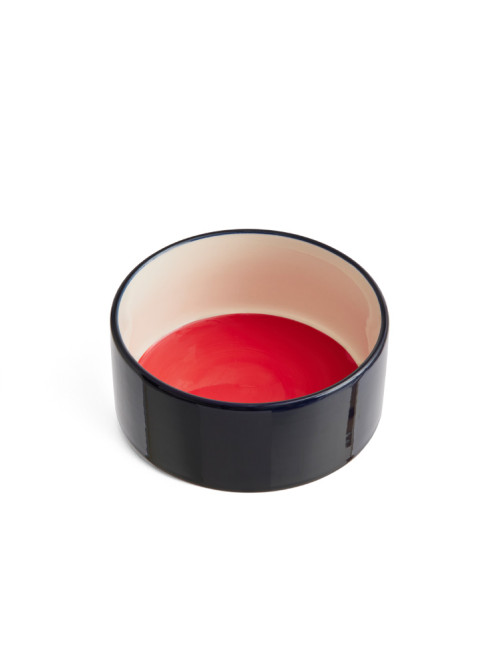 Dogs bowl s red blue 