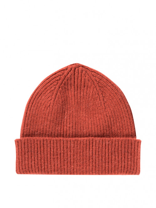 Beanie terra OS