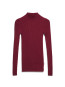Alaania roll neck velvet red 