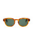 Billie sunglass havana green 
