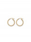Blubber hoops s gold 
