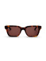 Dean sunglass brown tortoise 