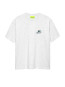 Dolphin t-shirt ash 