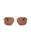 Frank sunglass tortoise brown 