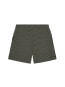Holiday shorts capers stripe 