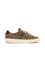 Windscape low w sneaker suede leopard 