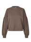 Vallotton-m holiday top falcon 