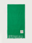 Zi 20a scarf mint 