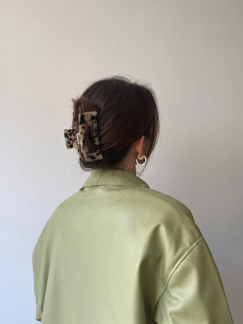 Bigga clip tortoise OS