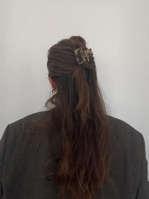 Josefin clip tortoise 