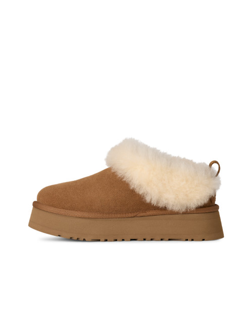 Tazzelle shoes chestnut 