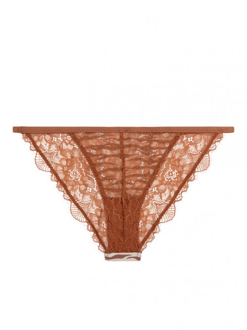 Wild rose slip brown 
