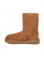 Classic short boots chestnut 