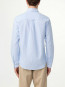Colby bd shirt blue stripe 