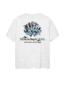 Dolphin t-shirt ash 