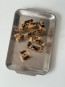 Mila clip tortoise 