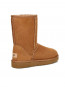 Classic short boots chestnut 