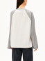 Iconic a raglan longsleeve undyed silver 