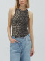 Jaxson-m anceline leopard mist 