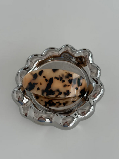 Barrette clip tortoise 