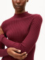 Alaania roll neck velvet red 