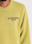 Helix sweater fandog 
