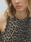 Jaxson-m anceline leopard mist 